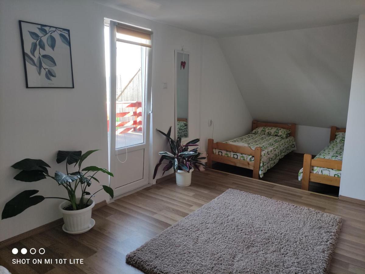Rita Vendeghaz Lägenhet Ciumani Exteriör bild