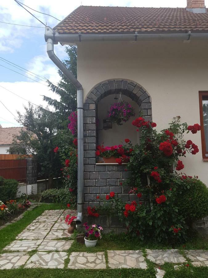 Rita Vendeghaz Lägenhet Ciumani Exteriör bild